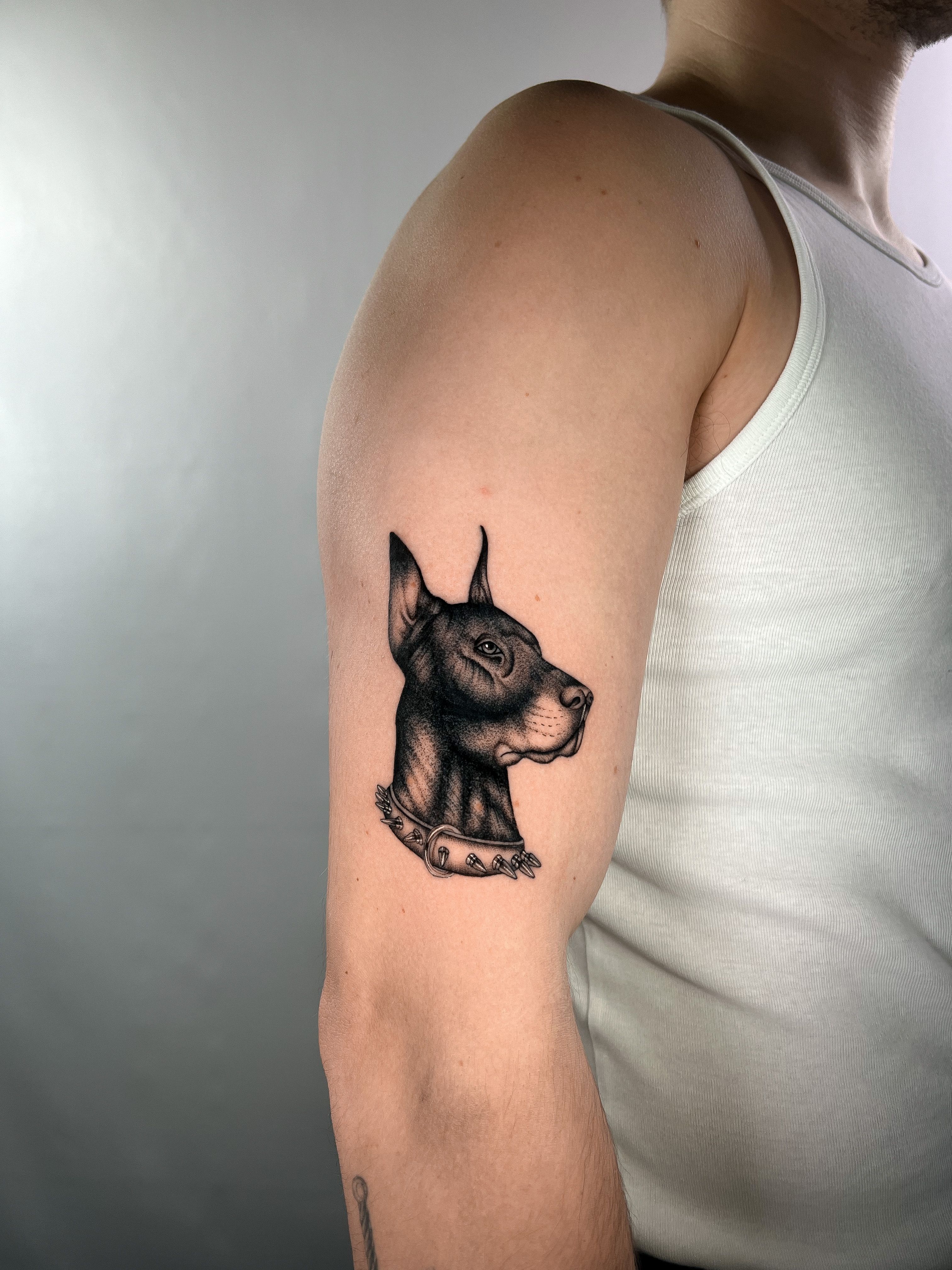 a good doberman boy done by colby white at rose land tattoo in fullerton,  ca : r/tattoos