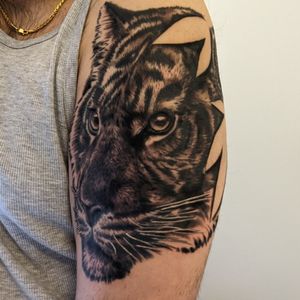 After many years of contemplating and finding the right design, I have gotten my first tattoo thank you Dani at  @Chosenink!#tiger #realism #firsttattoo #tigertattoo