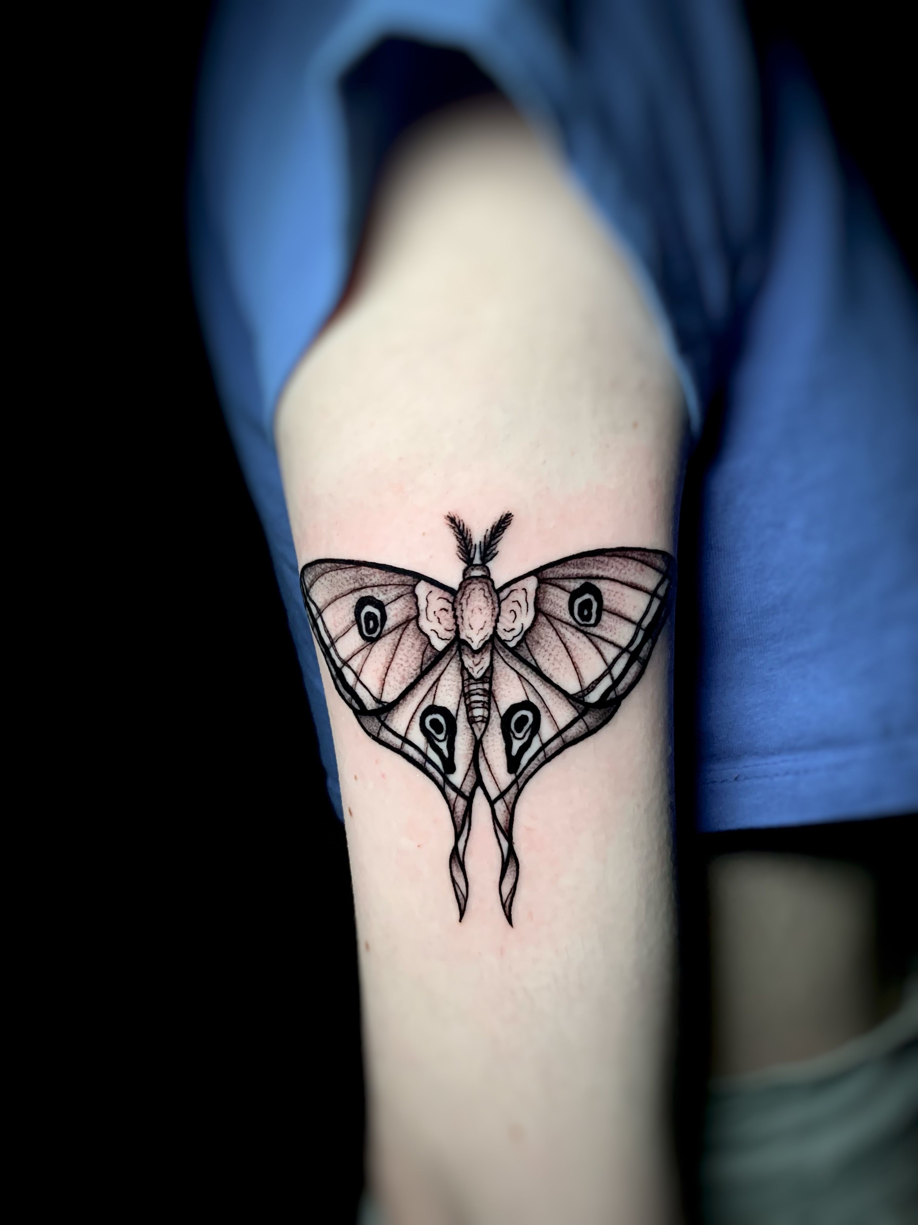 Moth Tattoo White Transparent Butterfly Moth Tattoo Mysterious Style Blue  Purple Wings Butterfly Dark PNG Image For Free Download