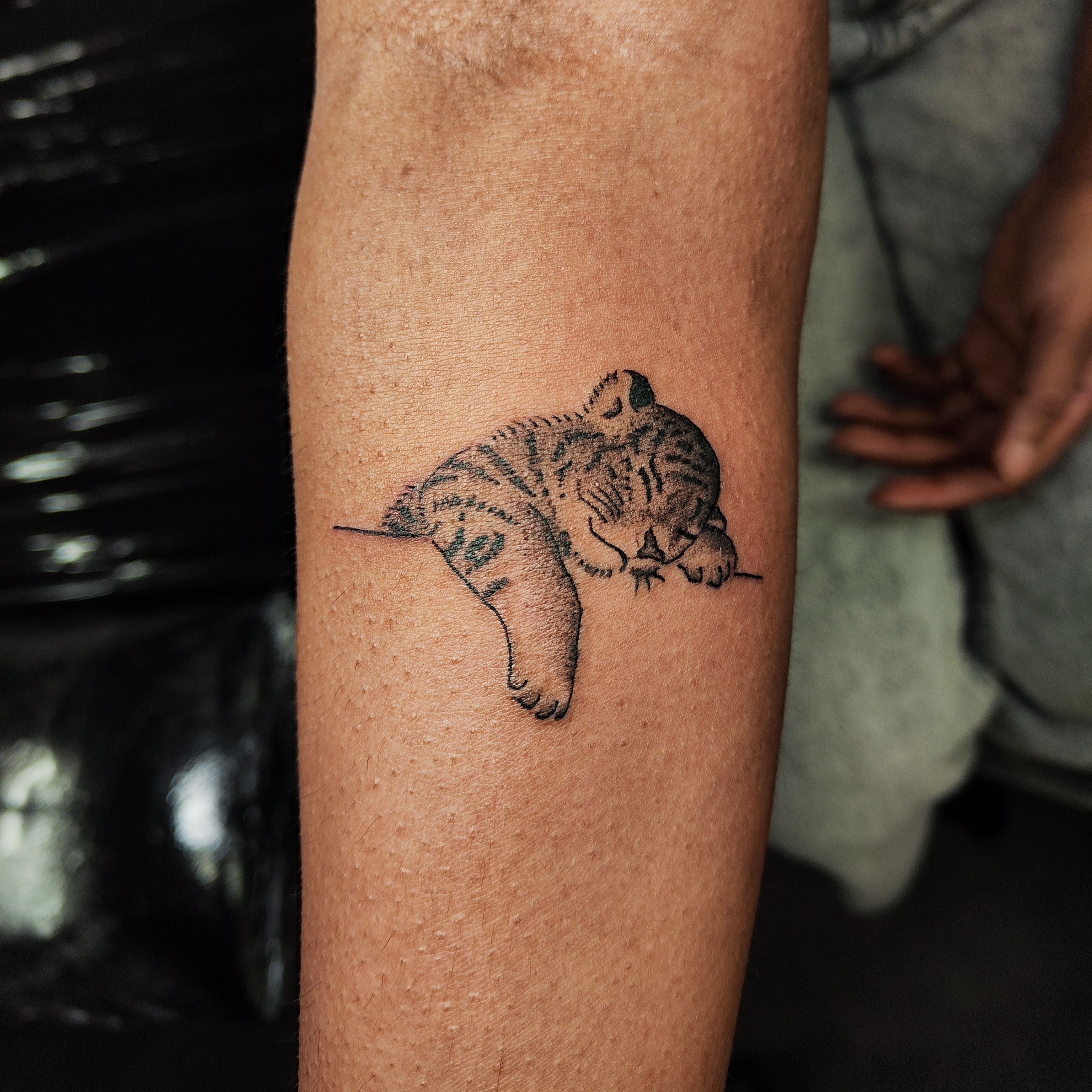 cub' in Hand-Poked Tattoos • Search in +1.3M Tattoos Now • Tattoodo