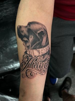Beautiful forearm tattoo featuring a realistic dog portrait with a personalized name, by the talented artist Misa.