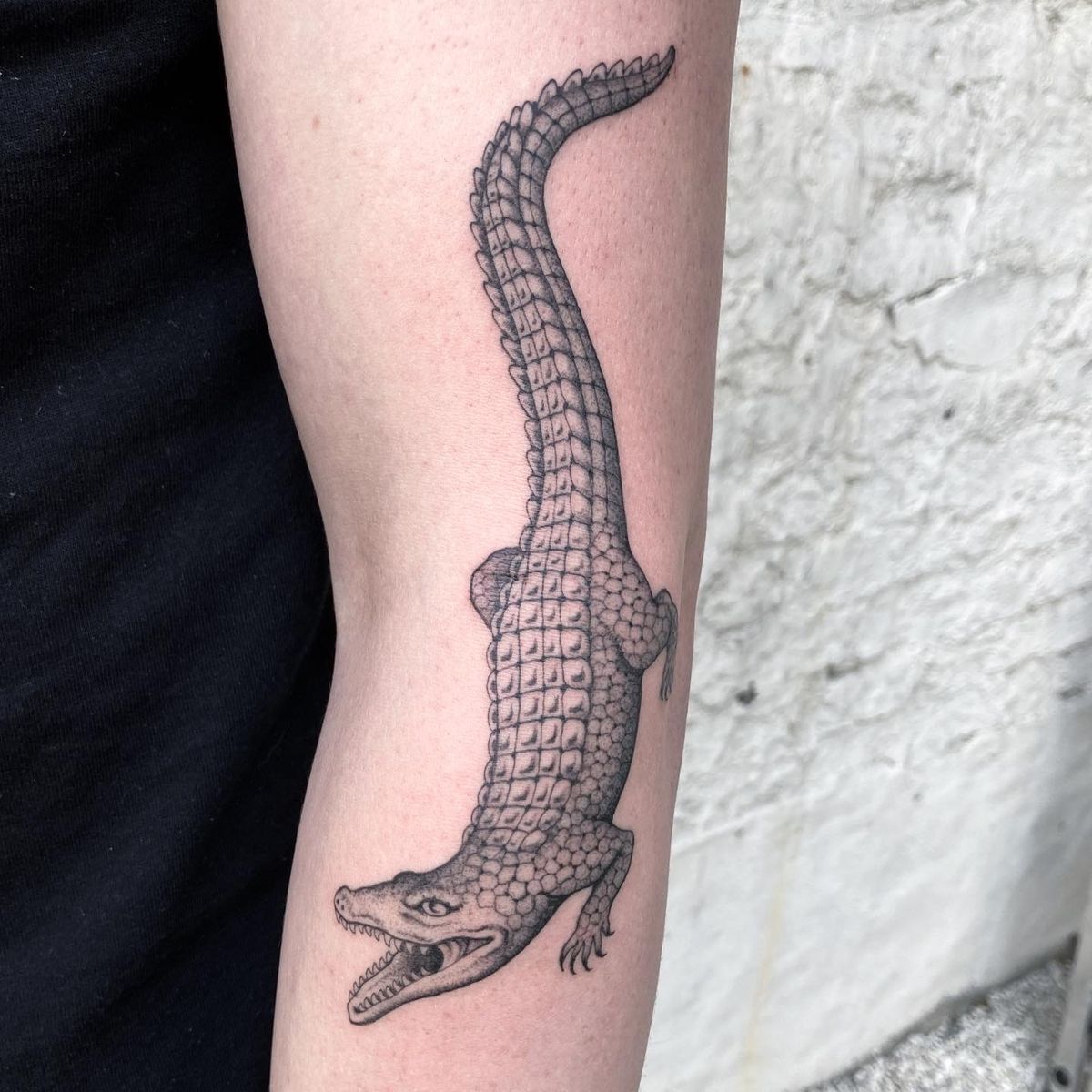 Tattoo uploaded by Luke Smith • Fineline Crocodile • Tattoodo