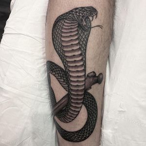 Snake wrapping around a bone