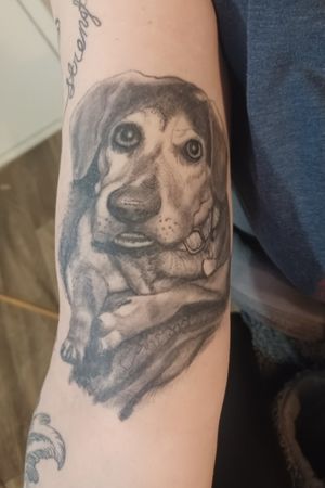 Puppy memorial done a while back