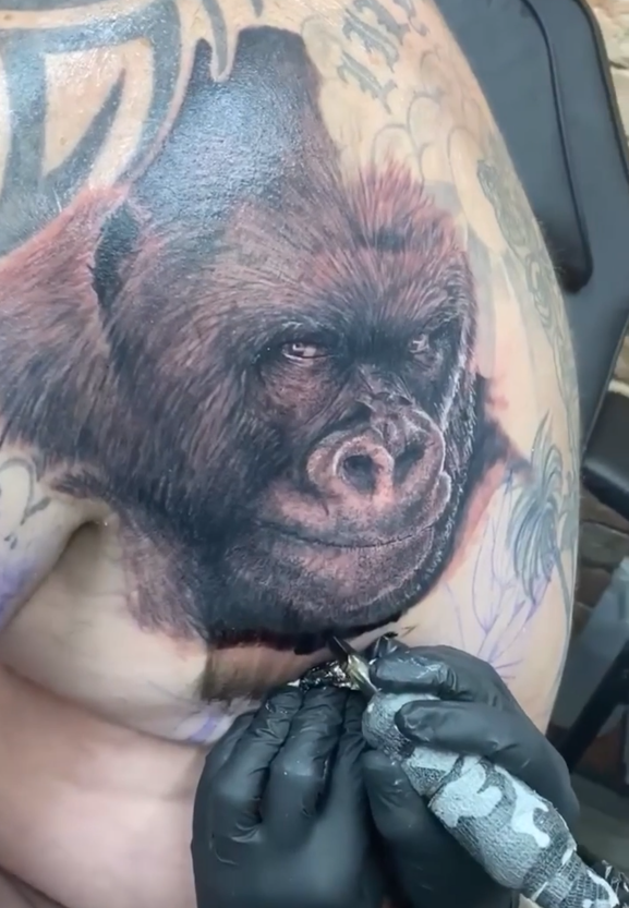 Explore the 38 Best gorilla Tattoo Ideas 2019  Tattoodo