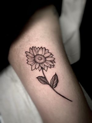 Sunflower. 🌻 