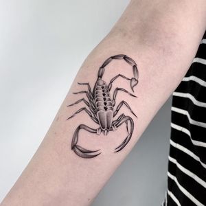 Elegant scorpion design in black and gray, expertly done on lower arm by talented artist Martin Rosenberg.