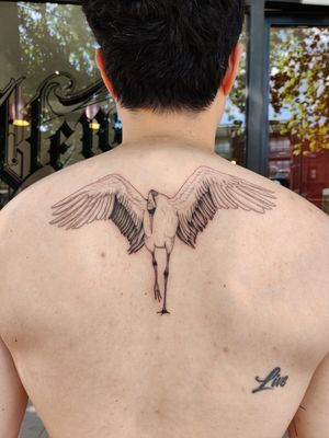 Admire the beauty of a fine line blackwork swan tattoo on your upper back by Mary Shalla. A symbol of elegance and grace.