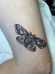 Moth
