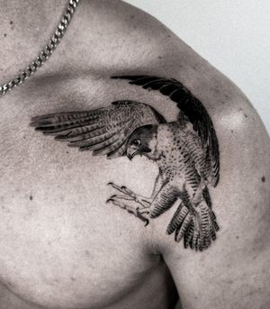 Experience the power of micro-realism with this stunning black and gray eagle tattoo on your shoulder. By the talented artist, Jay Soze.