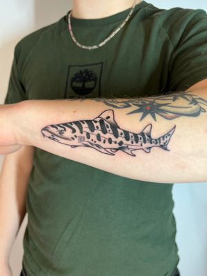 A stunning black and gray rendition of a shark done in traditional style on the forearm by the talented artist, Kayleigh Cole.
