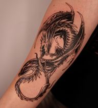 Infinity dragon, Ouroboros
