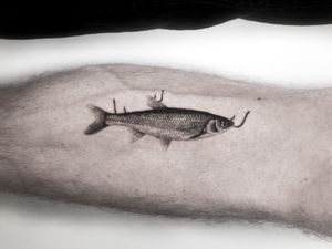 A stunning black and gray micro realism fish tattoo on the lower arm, by the talented artist Jay Soze.