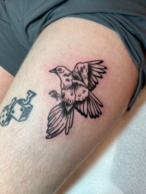Check out this stunning traditional bird tattoo by Kayleigh Cole on the upper leg. Perfect for those who love classic tattoo designs.