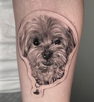 Little sticker pup portrait 