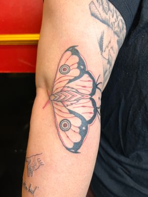 Elegant black and grey moth design for your arm. Expertly crafted by tattoo artist Kiky Flore.