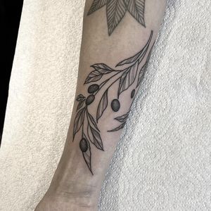 Elegant black and gray olive branch tattoo on arm by Federico Colantoni, featuring intricate leaf details.