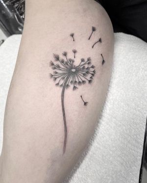 Elegant black and gray dandelion tattoo on the arm, expertly done by Federico Colantoni.