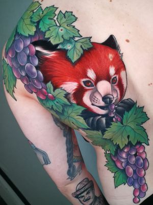 Red panda loves grapes #yaia_ink #redpanda #redpandatattoo #londontattoo #backpiecetattoo 