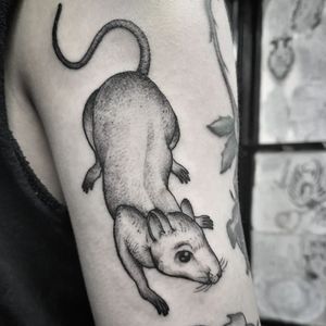 Upper arm tattoo featuring a realistic black and gray rat design by renowned artist Elisa Thirteen. Visit us to get yours today!