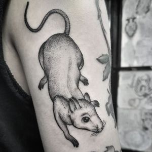 rat' in Blackwork Tattoos • Search in +1.3M Tattoos Now • Tattoodo