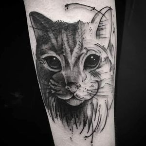 Capture the elegance of a feline companion with this stunning black and gray tattoo by Elisa Thirteen. Adorn your forearm with a timeless piece of art.