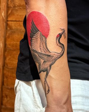• The red-crowned crane with olive branch 🔴 • Custom piece by our resident @cat_vaska116 for @luke2903 Books/info in our Bio: @southgatetattoo • • • #cranetattoo #redcrownedcranetattoo #redsun #olivebranchtattoo #southgatepiercing #londonink #londontattoostudio #londontattoo #northlondontattoo #finelinetattoo #enfield #amazingink #southgatetattoo #southgateink #blackworktattoo #sgtattoo #northlondon #realistictattoo #blackwork #london #southgate