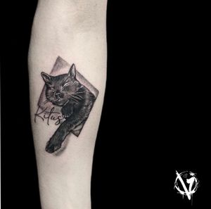 Get a stunning black and gray tattoo of a cat with lettering of a name by VV Swain Tattoo, perfect for the chest area.