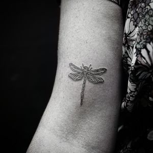 Get mesmerized by Soheyl Astangi's delicate dragonfly design on your upper arm. Perfect for those seeking a unique and elegant ink!