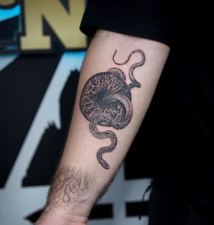 Black and gray forearm tattoo by Soheyl Astangi featuring a detailed snake intertwined with a mesmerizing eye and eyeball.