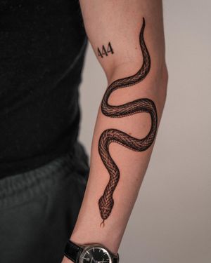 Admire the intricate details of this forearm tattoo by Federico Tronconi. The snake's graceful curves are beautifully captured in black and gray.