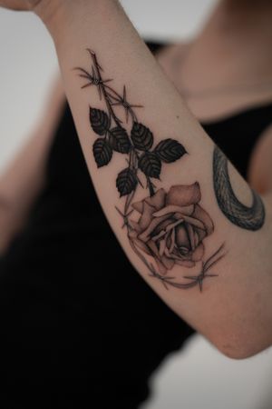 Elegant and edgy arm tattoo featuring a detailed rose intertwined with barbwire. Designed by the talented Federico Tronconi.