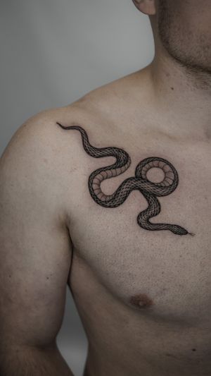 Federico Tronconi's black and gray shoulder tattoo features a striking snake motif, showcasing intricate details and sleek design.