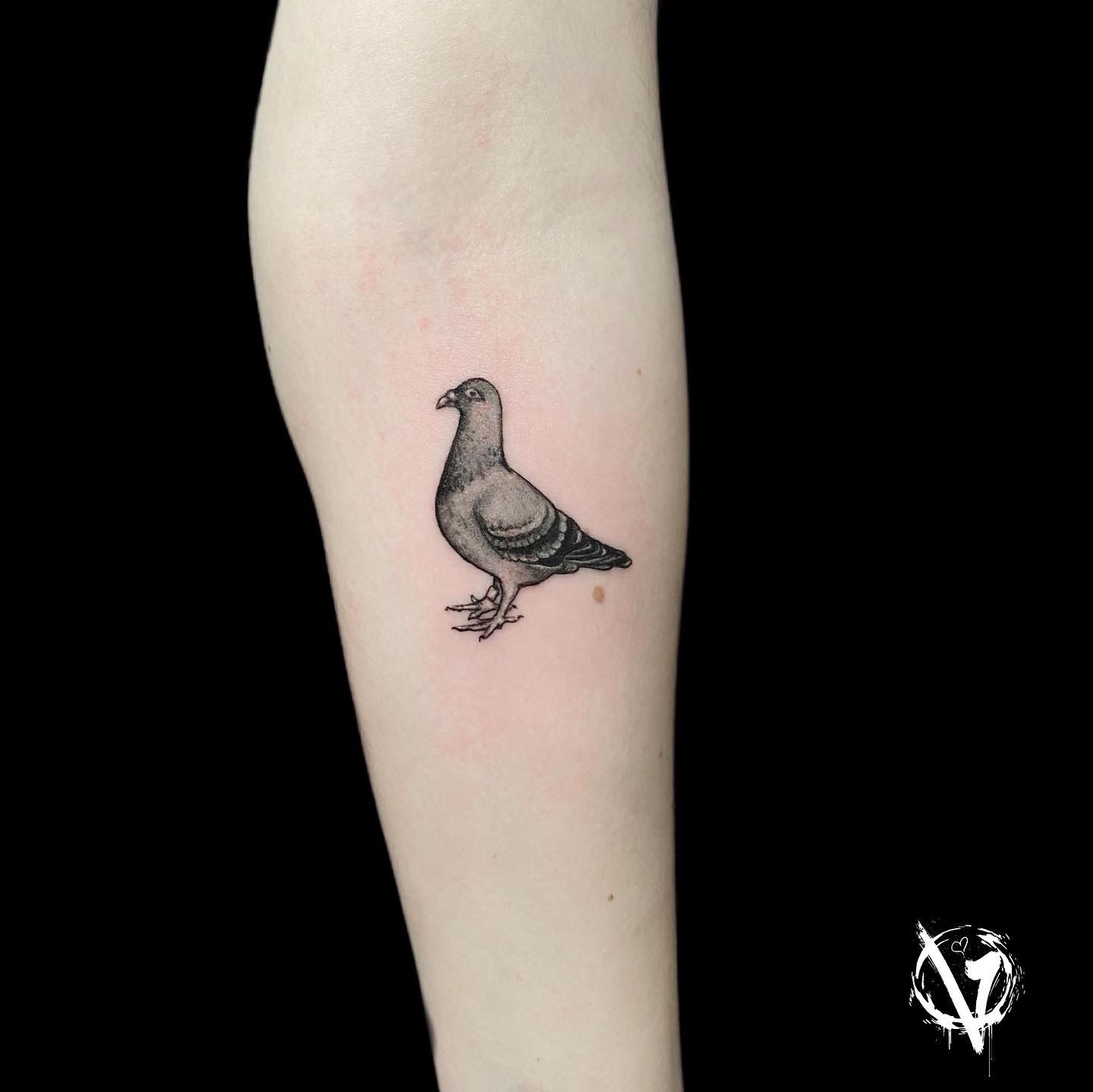 bibi abelle studios | Pigeon's 🪶 ———thank you so much! - - - - - - - - -  #birdtattoo #pigeons #pigeontattoo #realismtattoo #tattoos #inkstagram  #t... | Instagram