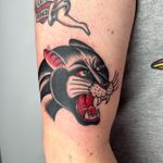 Panther Head
