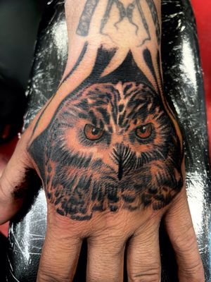 Snow owl for the hand.  