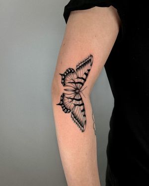 Elegant butterfly design in dotwork and fine line style by artist Joshua Williams for a stunning micro-realism look on your arm.