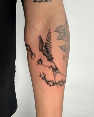 Exquisite forearm tattoo by artist Joshua Williams, featuring a detailed bird perched on a delicate chain.