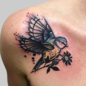  #bluetit tattoo for Lindsey to represent her grandma , now reunited with her grandpa.... would love to tattoo more birds! HMU with ideas!... .#birdtattoo #bluetit #abstracttattoo #colourrealism #realismtattoo #illustrationtattoo #viviink #femaletattooartist.....#tttism #tattooartist #birds #love #tattooist #tattoolife #colortattoo #art #ink #bird #tattooart #birdtattoo #tattooed #inked #illustration #tattoos
