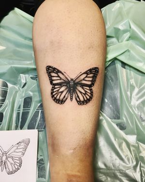 Explore the beauty of dotwork and black and gray in this stunning butterfly tattoo by Frankie Brown.