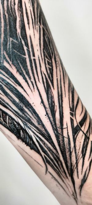 Part of sleeve: gothic