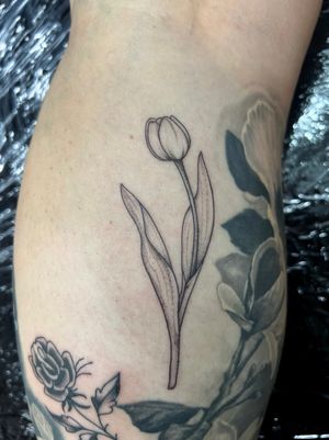Fine Line Tattoo Amsterdam By Claudia Fedorovici #finelinetattoo #tuliptattoo #walkintattoo #floraltattoo #finelinetattooartist #claudiafedorovici #ascetictattoo #tattooartistsamsterdam