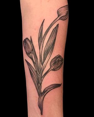 Experience the striking beauty of a blackwork flower tattoo on your forearm by renowned artist Kiko Lopes.