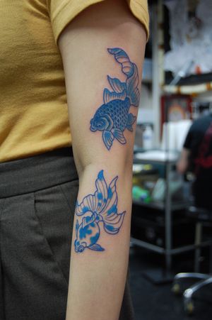 Elegant koi fish tattoo by Bananajims, expertly done in traditional Japanese style on the arm.