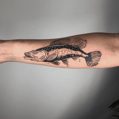 Illustrated style of a pike fish