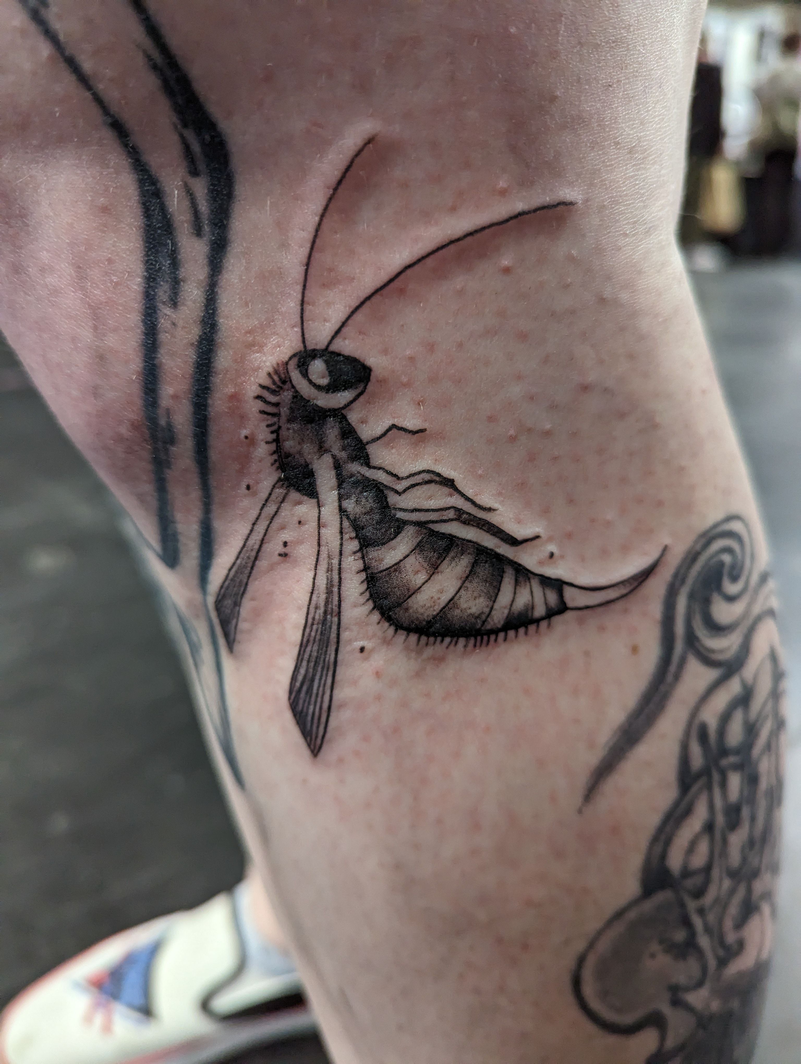 Lineart Wasp Tattoo Illustration Graphic by Rupture · Creative Fabrica