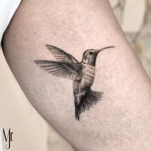 Perfect detailed hummingbird 