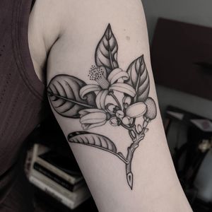 #totemica #buioOmega #tattooshop #tattoostudio #custom #tattooing #verona #italy #black #botanical #plant #flower #citrusblossom #tattoo #blackclaw #blacktattooart #tattoolifemagazine #tattoodo #blackworkers #blackwork