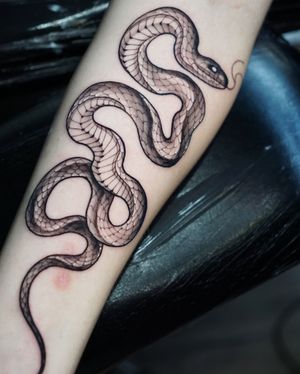 For the snake lovers custom piece by our resident @oscar.tttst_ 
Oscar has a couple of spaces left in August! Hurry up and book yourself in! 
Books/info in our Bio: @southgatetattoo 
•
•
•
#snaketattoo #snakelovers #snake #southgatetattoo #sgtattoo #sg #londontattoo 