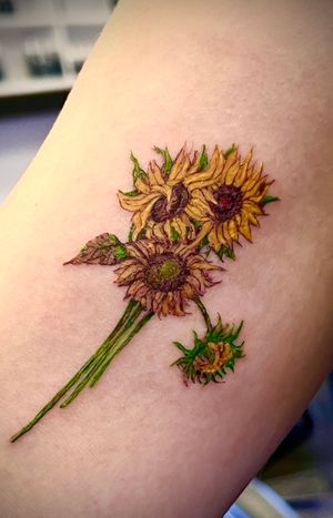 Van Gogh Sunflowers 🌻